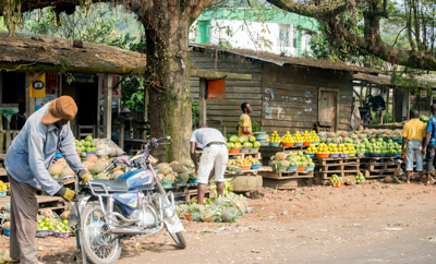 The fresh produce is beautiful and abundant...being sold along the road everywhere.